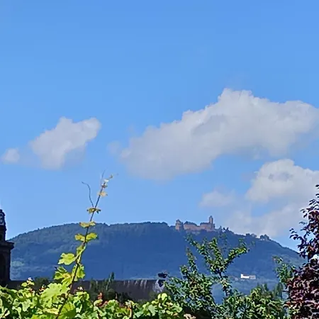 Le Coin Zen Апартаменты