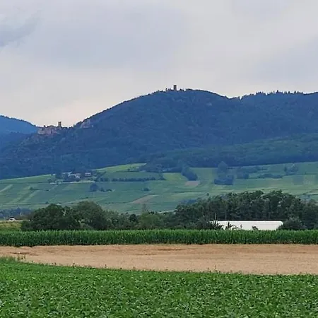 Апартаменты Le Coin Zen *