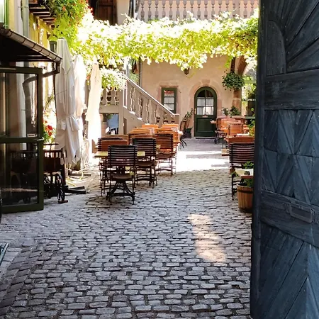 Le Coin Zen Bergheim