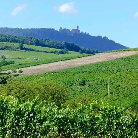 Апартаменты Le Coin Zen