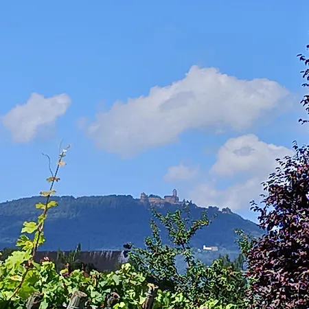 Le Coin Zen Апартаменты Бергхейм